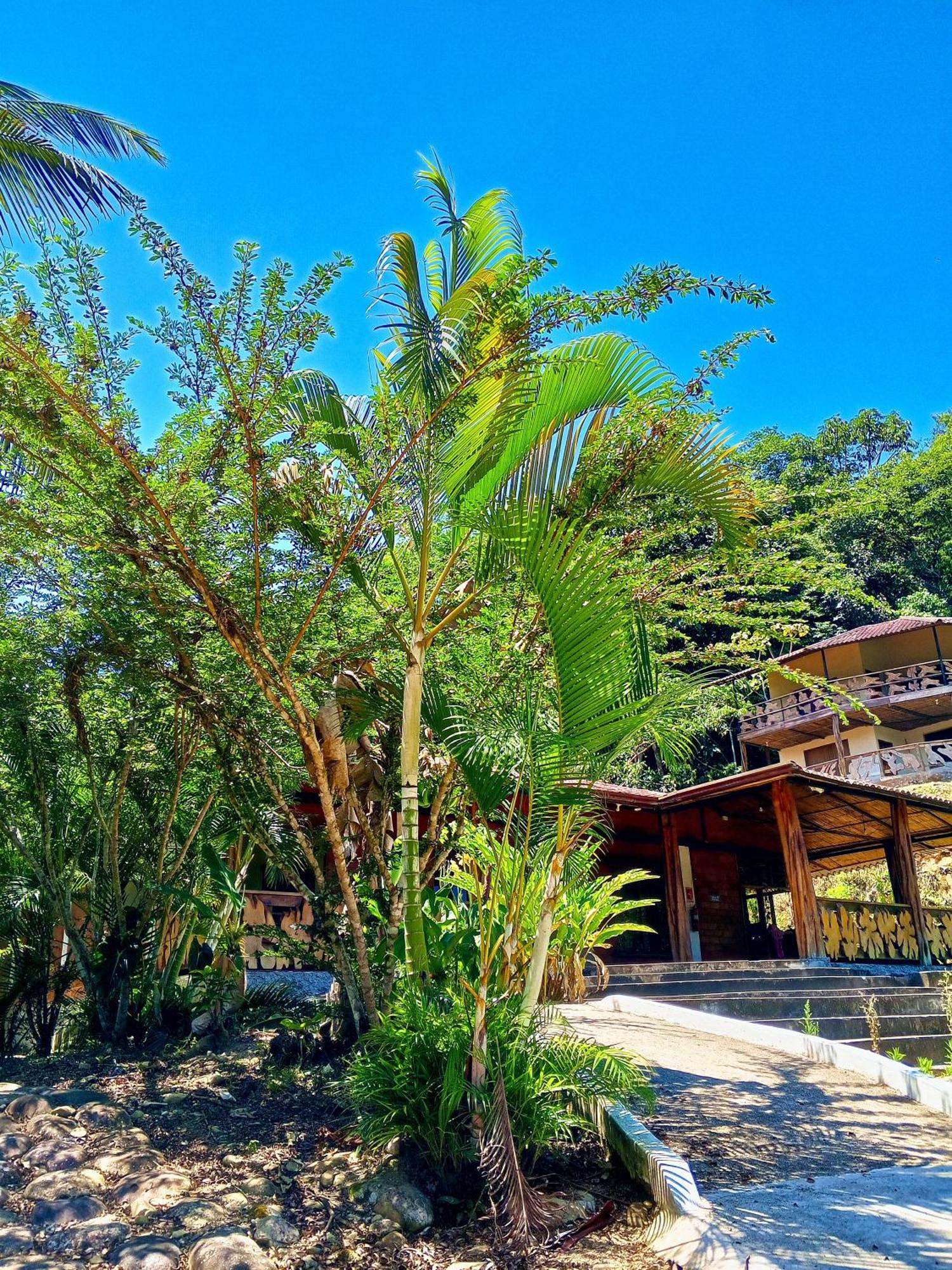 Ingaru Lodge Pano Exterior foto