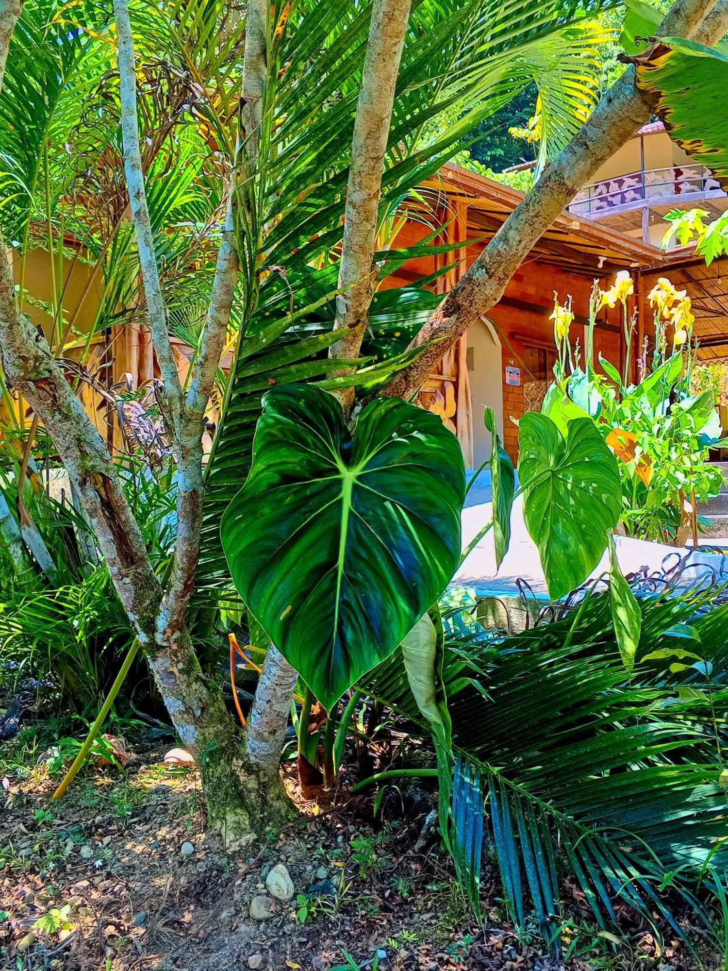 Ingaru Lodge Pano Exterior foto