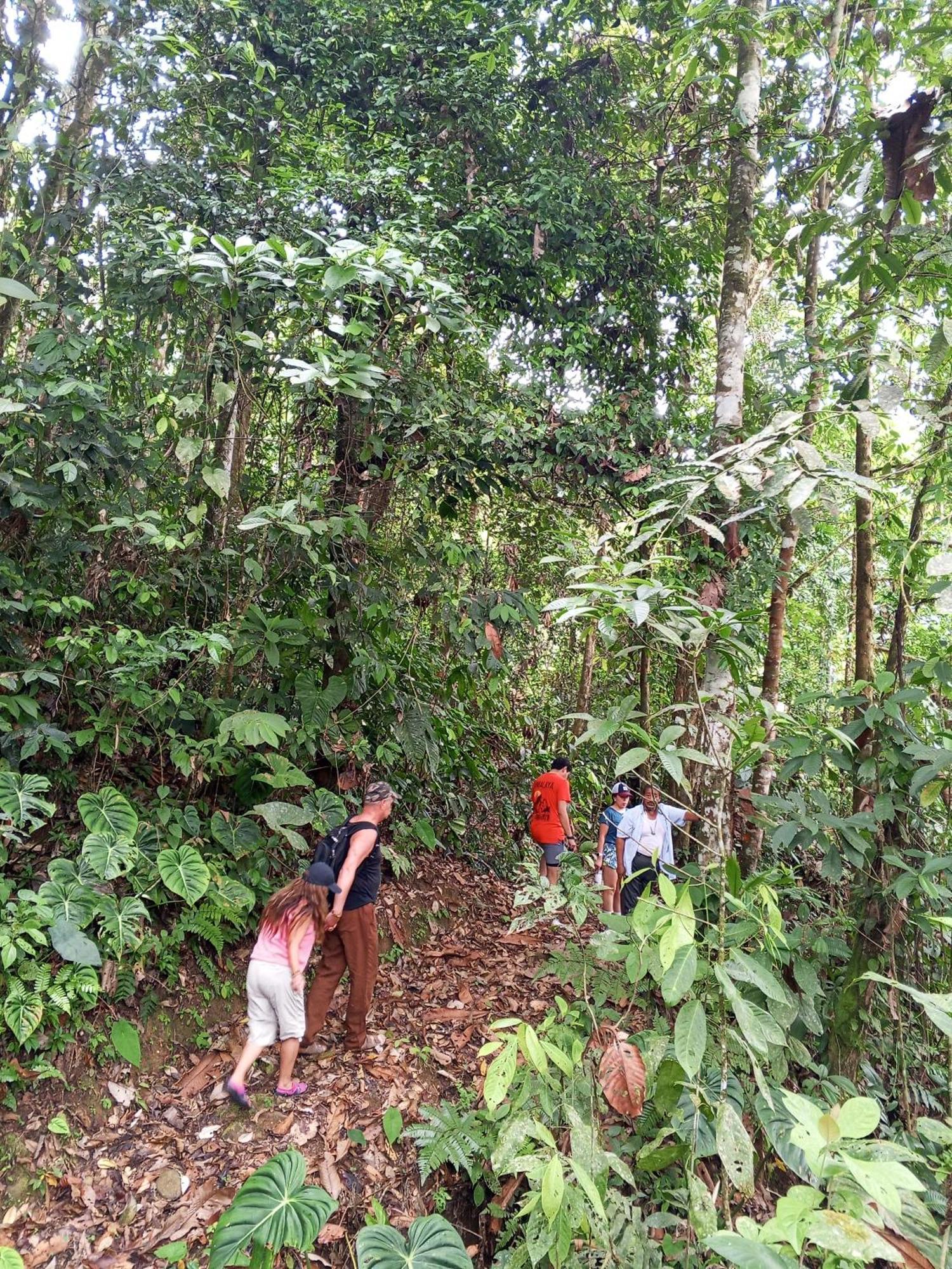 Ingaru Lodge Pano Exterior foto